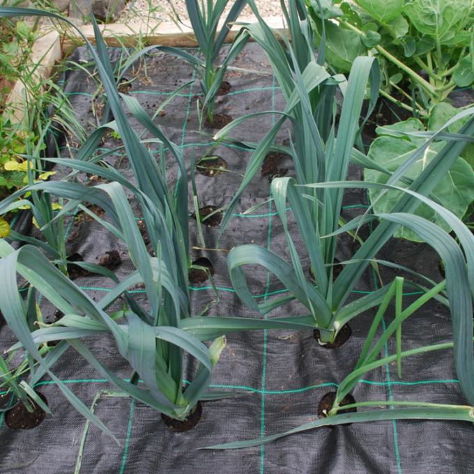 Uv Stabilised Weed Barrier Mat Under Gravel Mulch Heavy Duty Garden Matting
