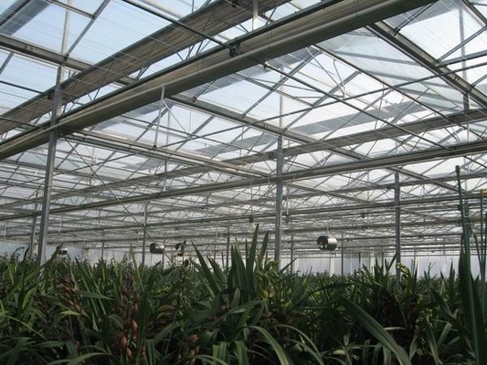 65% Greenhouse Shading Material Reflective Sun Shade Tarp Thermal Screen
