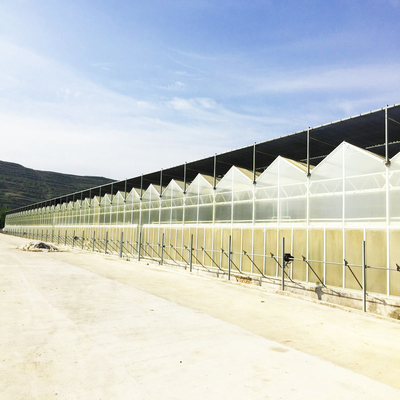 90 Percent Uv Treated Agro Shade Net For Agriculture Vegetable