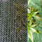 Green Anti Uv HDPE Sun Shade Net For Balcony Home Garden Plants