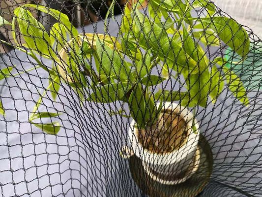 Pool Anti Heron Koi Fish Pond Net Protection Covers 15ft X 20ft Hdpe