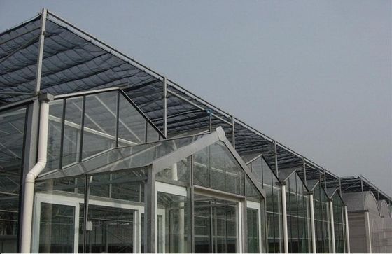 High Density Polyethylene HDPE Shade Net Cloth For greenhouse