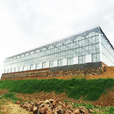 95 Windbreak Green Agro Shade Netting HDPE Fabric Shade