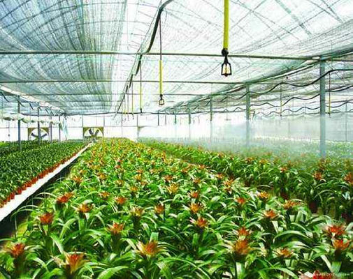 Agri Agro Shade Net 80 Percent