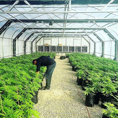 60% Outdoor Patio Plastic Agri Shade Netting For Vegetable Garden