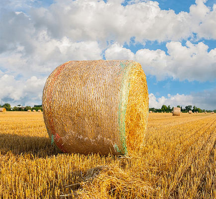 8.33GSM Bale Net Wrap Plastic Anti UV With Warning Line